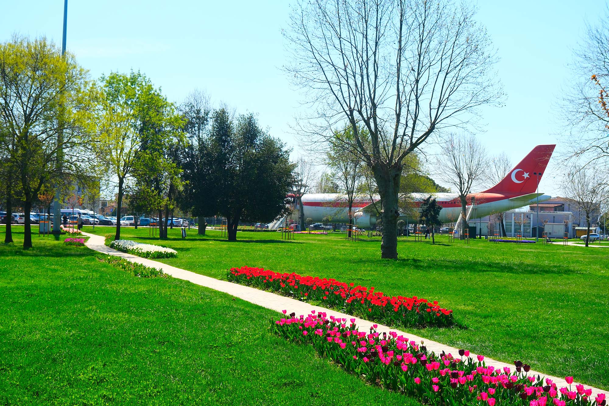 Sakarya’da baharın büyüleyici cümbüşü