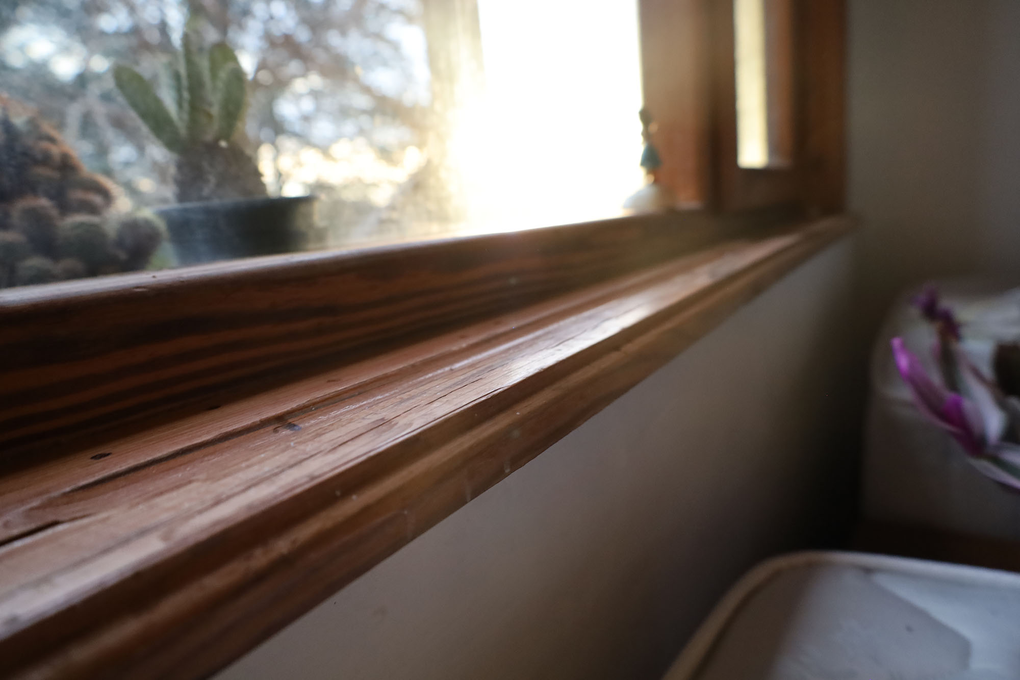 Evi görünce terk etmeyi düşündü: Binlerce kokarcanın istila kabusunu TUTSAK bitirdi