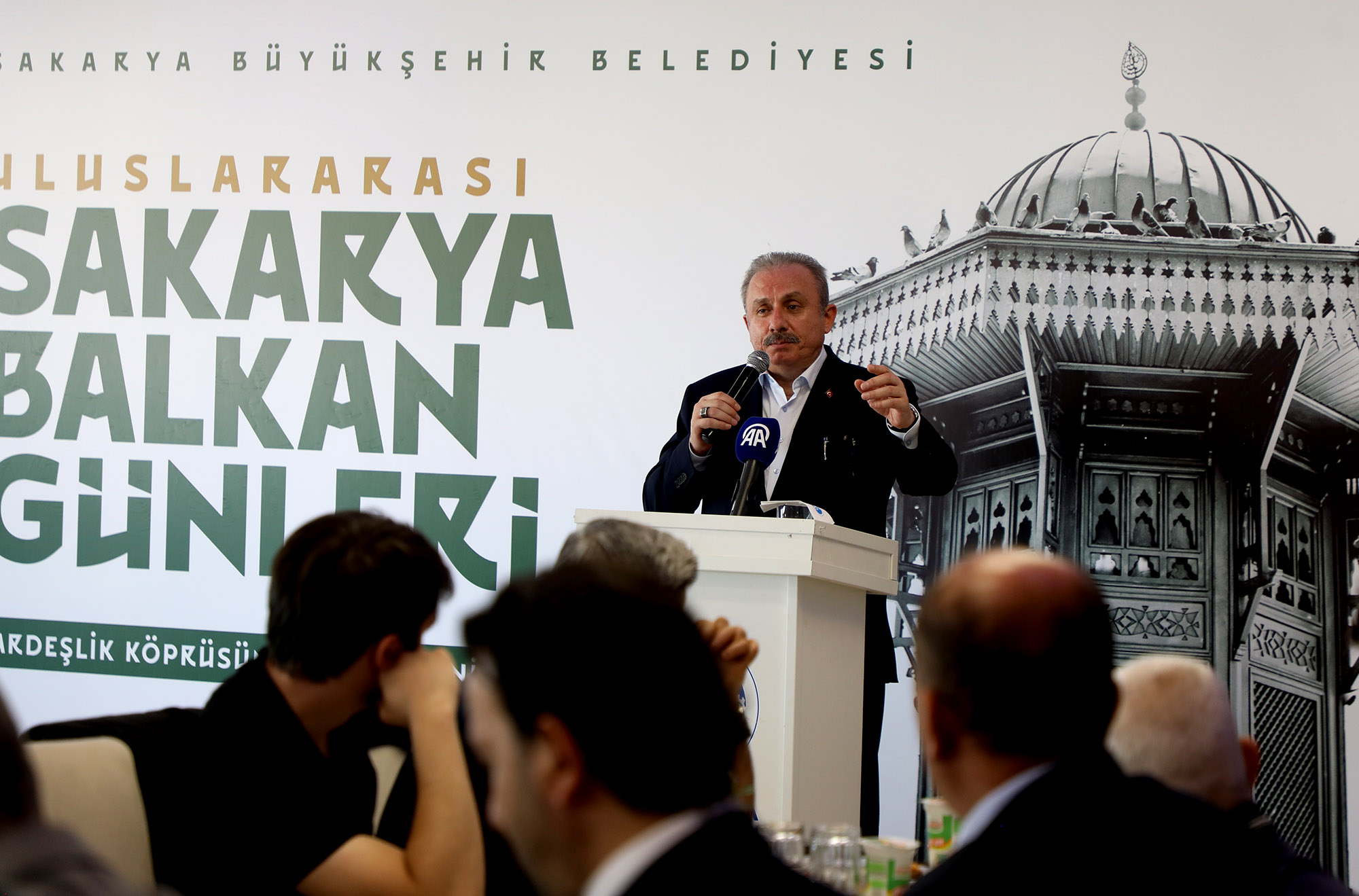  Sakarya Balkan coğrafyasına kucak açtı: “Sizin büyük ülkeniz Türkiye Cumhuriyeti’dir”