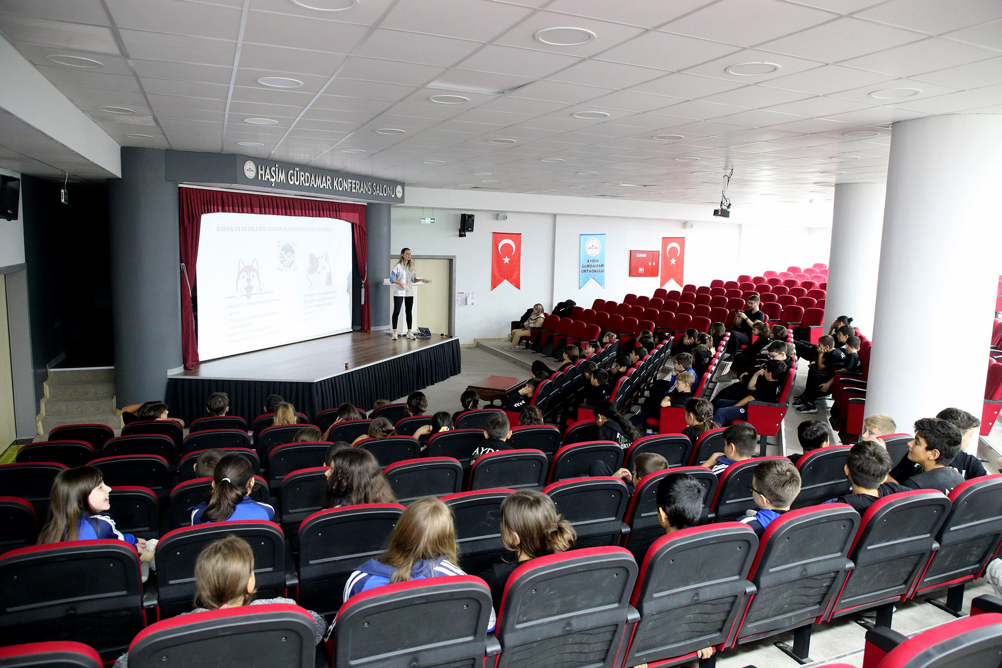 Sizi kuduz tehlikesinden uzaklaştıracak altın kurallar