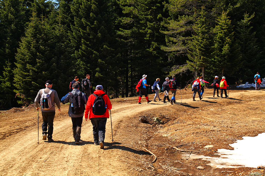 Doğaseverler Büyükyayla’daydı
