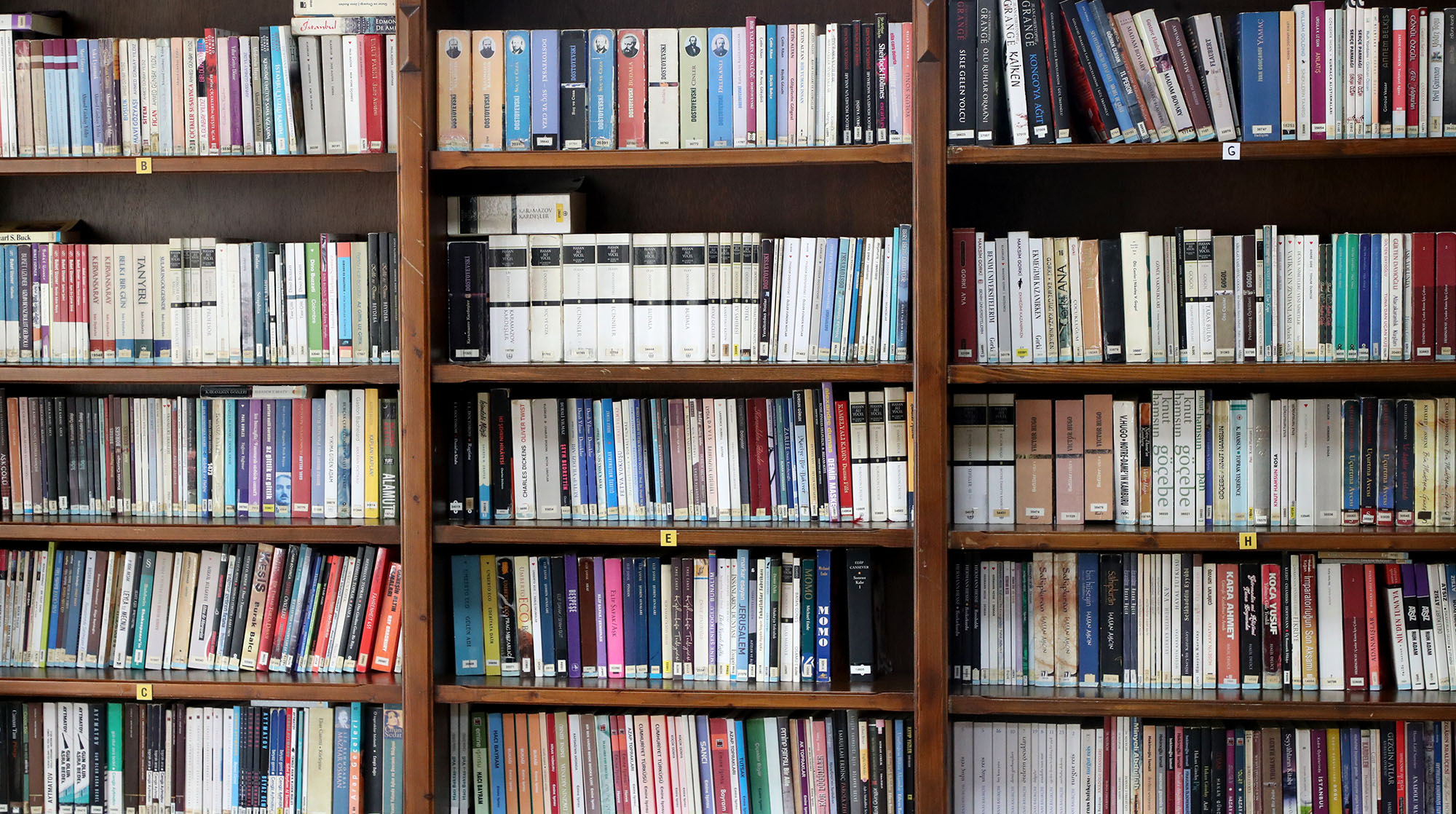 14 bin üye 25 bin eserle yeşilin kalbinde bir kütüphane: Faik Baysal yeni dönemde gençlerin gözdesi olacak