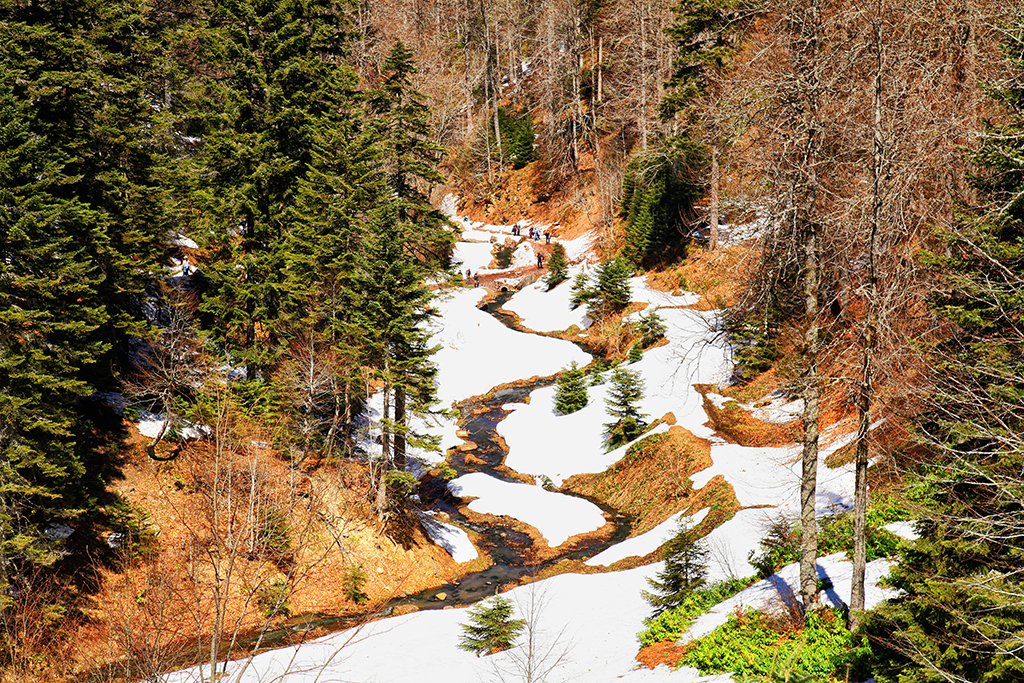 Doğaseverler Büyükyayla’daydı