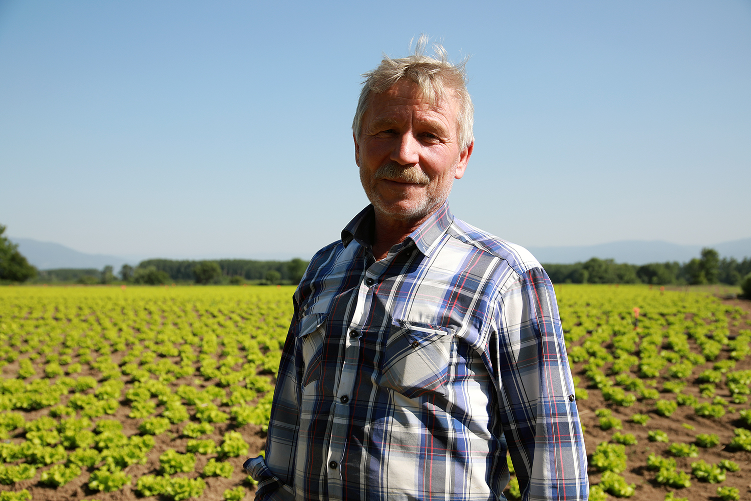 Çiftçilerin yüzü gülüyor