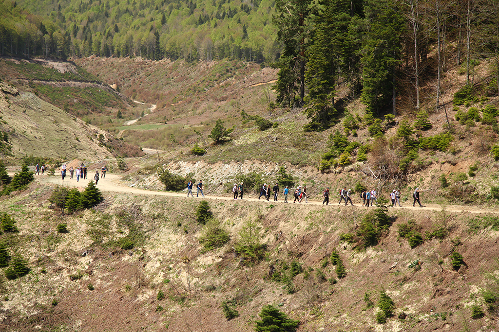 Pamukova ve Sapanca’da doğa ile iç içe yürüyüş