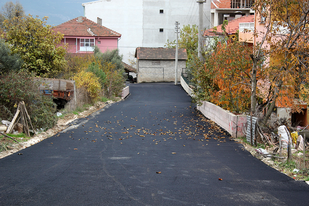 Yeni bir Pamukova doğdu