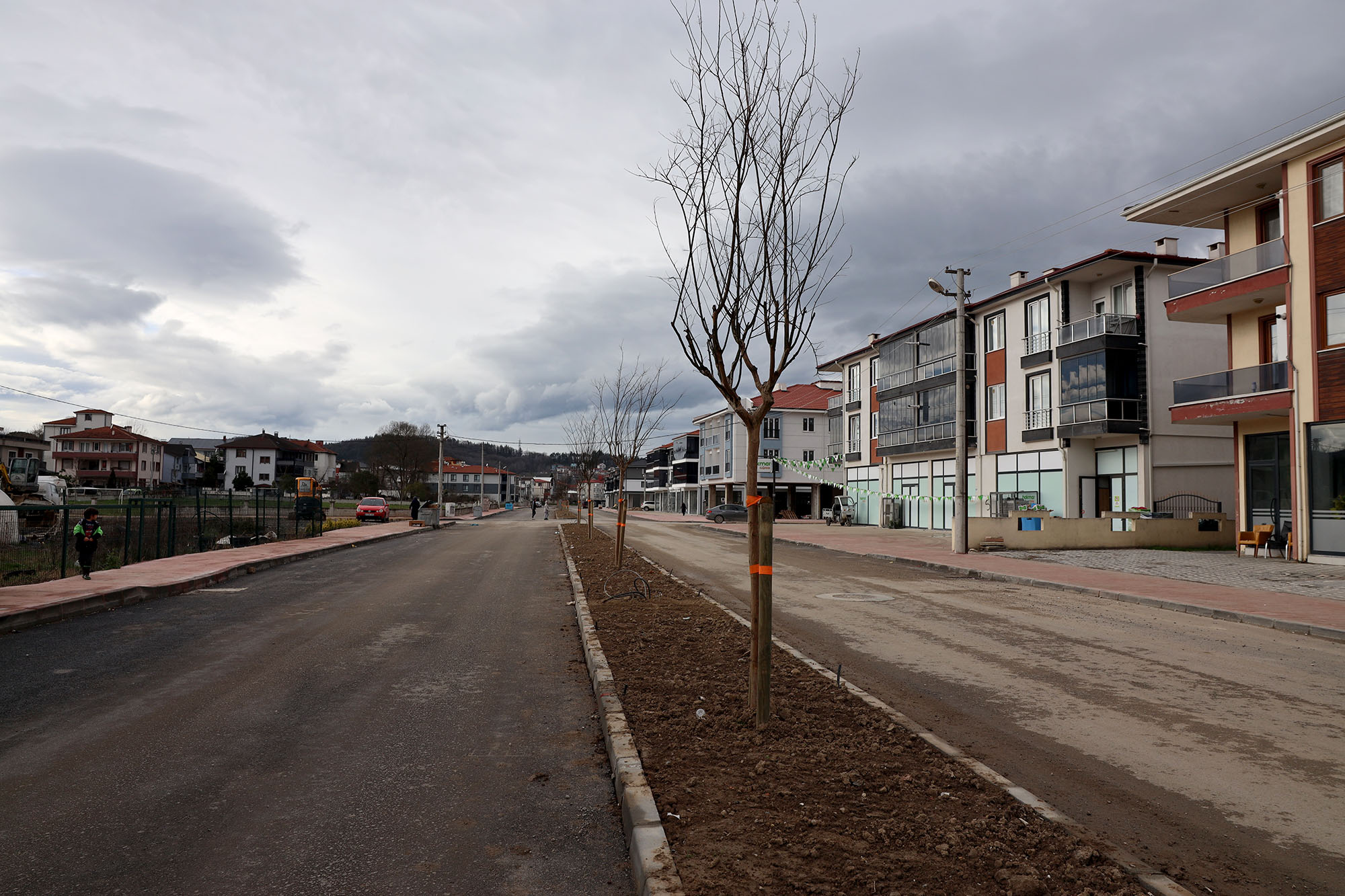 Büyükşehir’in ‘Yeşil Şehir’ vizyonu sahada: 3 ayda 2 bin 500 ağaç toprakla buluştu