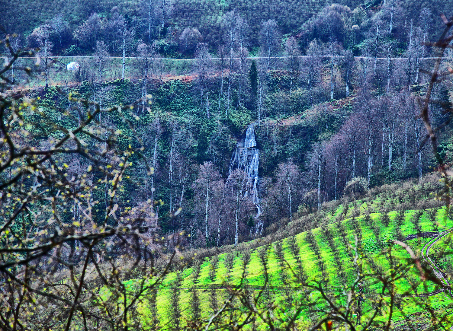 Doğa Yürüyüşleri Büyük Yayla’da başladı