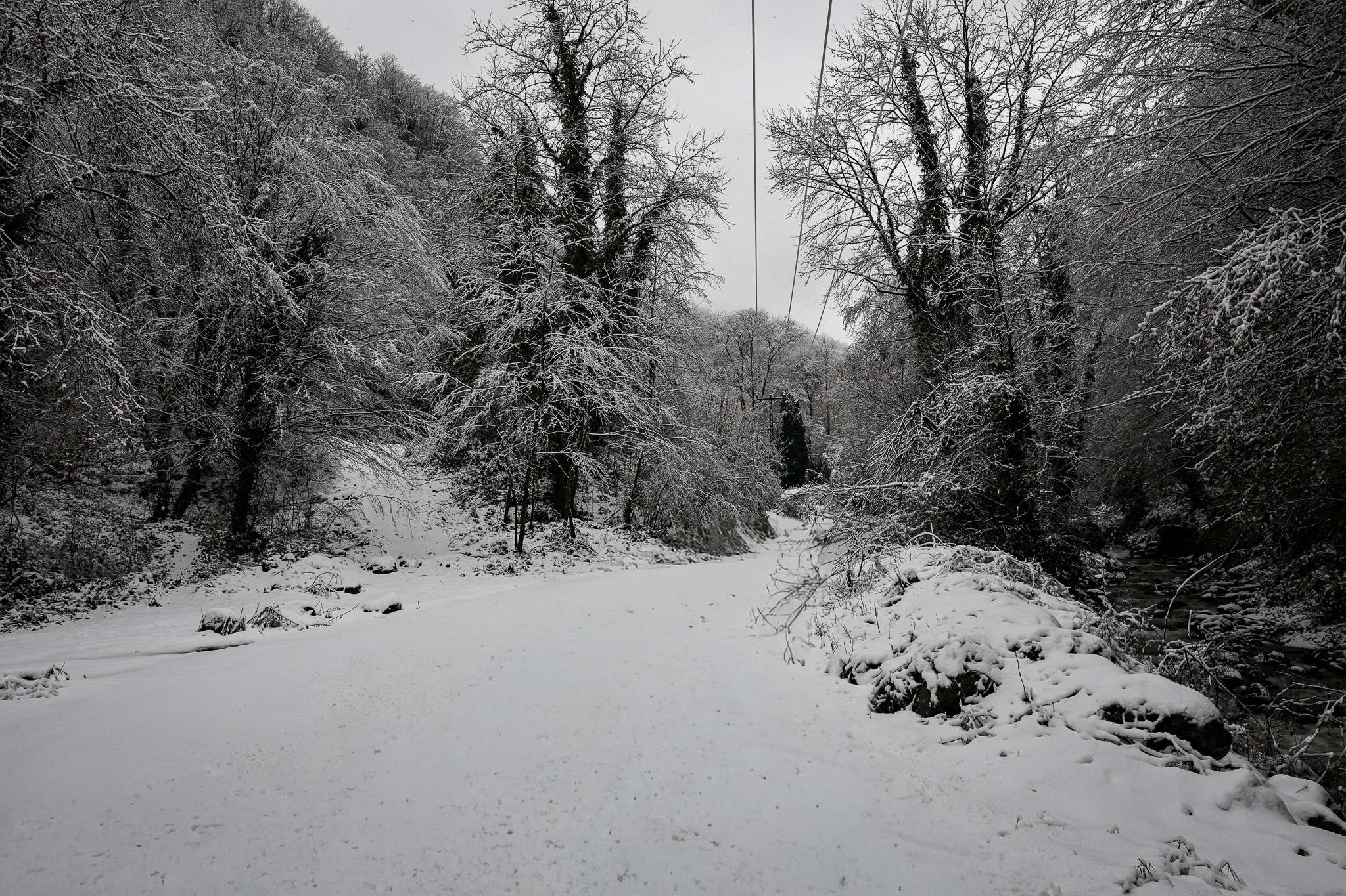 Beyaz örtü Sapanca Gölü’nü besleyen derelere can oldu