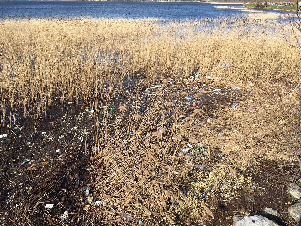 SASKİ Göl Kıyısını Temizliyor