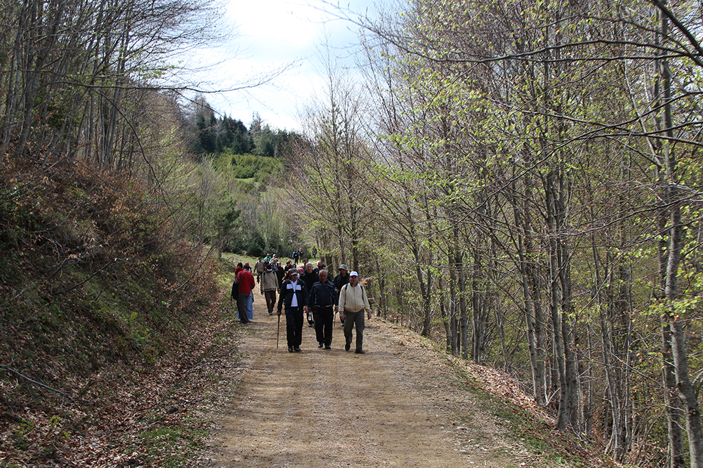 Taraklı’da Bahar Yürüyüşü