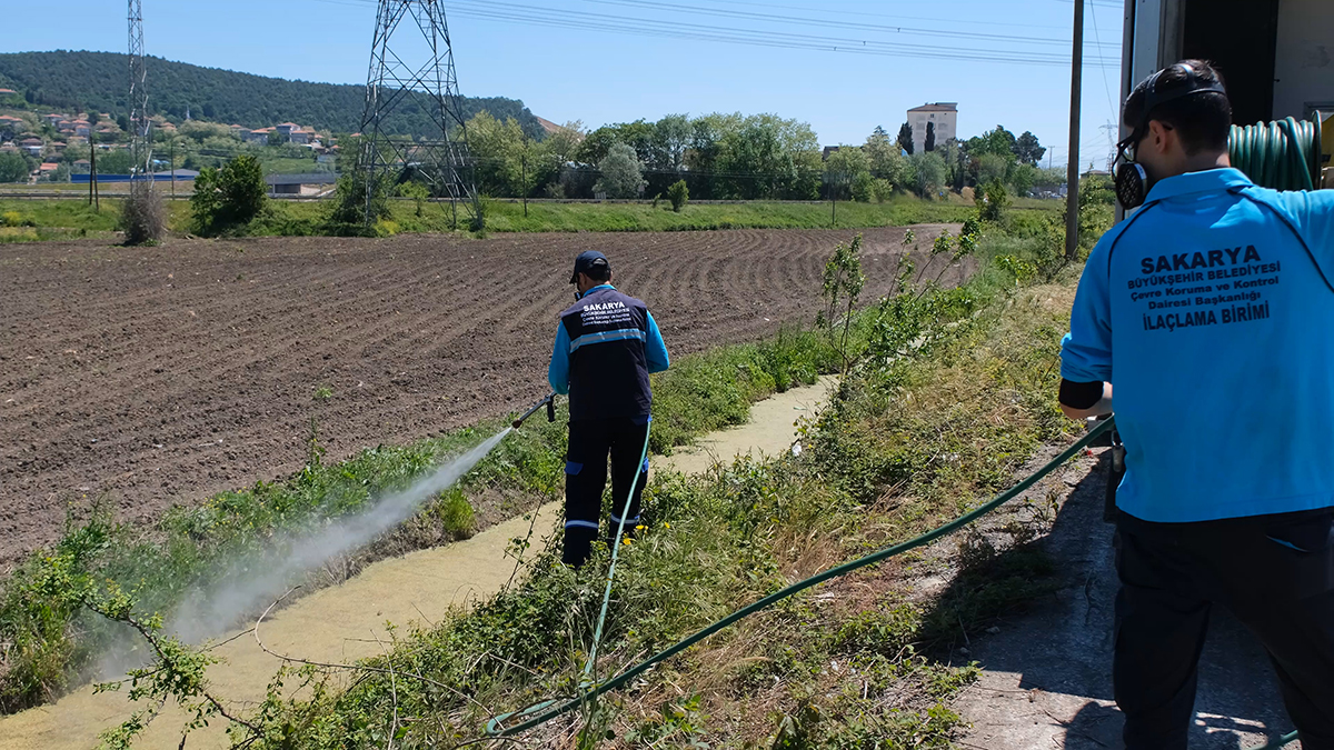 Vektörlerle mücadele ve ilaçlama aralıksız sürüyor
