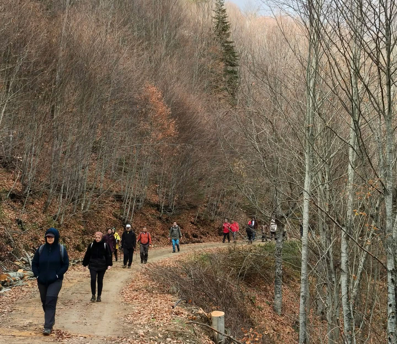 Sakarya’da doğa yürüyüşlerine büyüleyici final: Kıranyurt