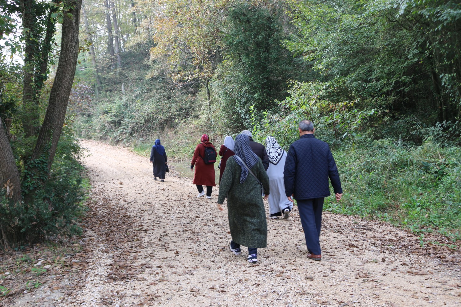 YADEM yaşlıları İl Ormanı’nda buluştu