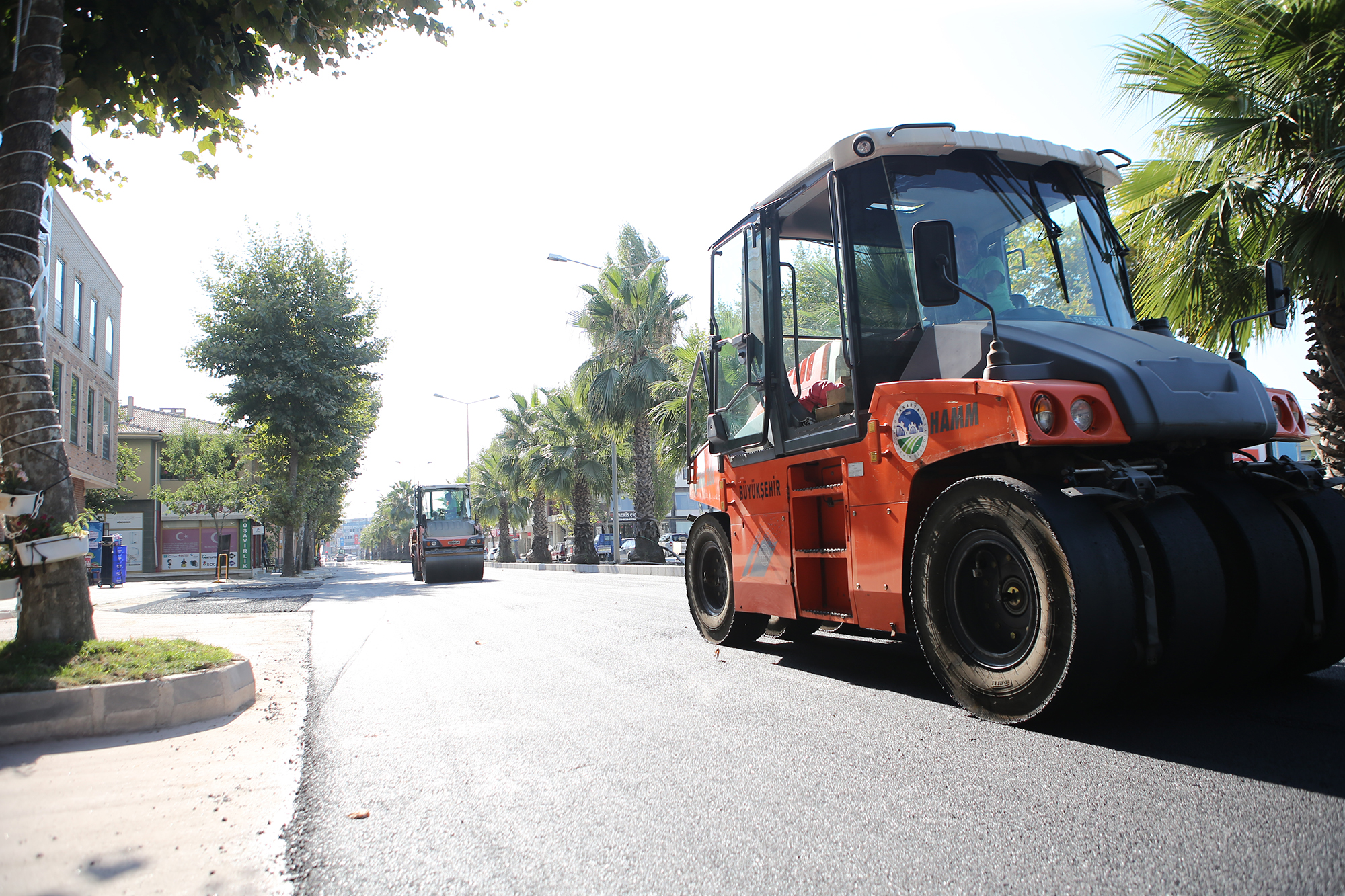 Palmiye Caddesi yeni yüzüne kavuşuyor