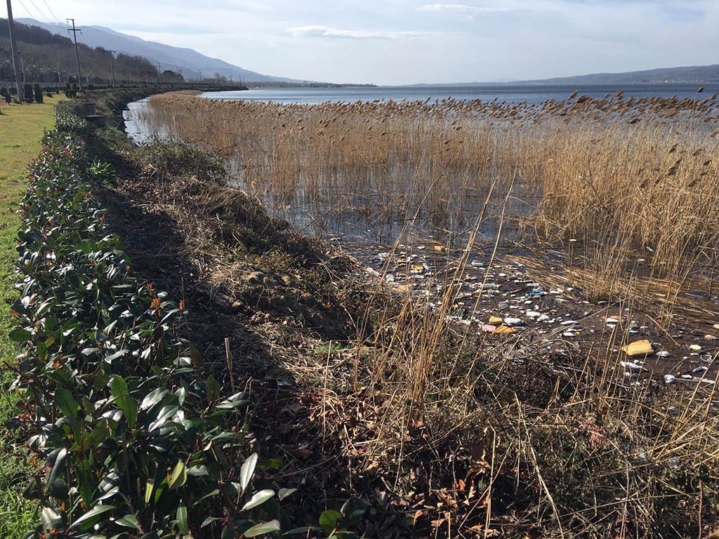 SASKİ Göl Kıyısını Temizliyor