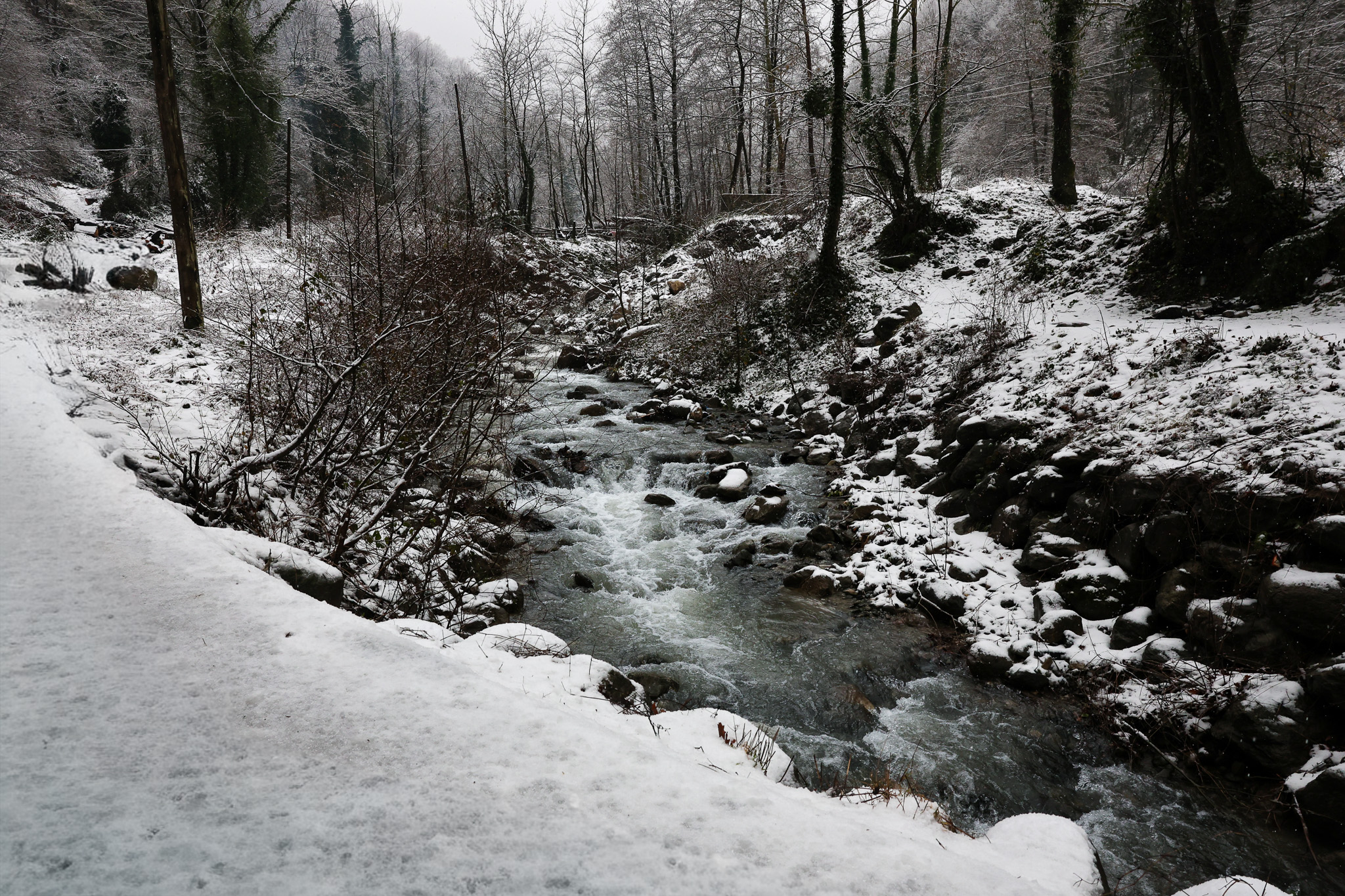 Beyaz örtü Sapanca Gölü’nü besleyen derelere can oldu