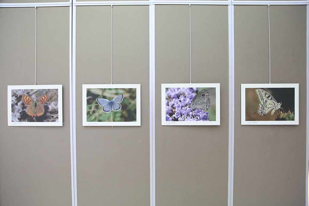 Uçan Renkler Galeri’de