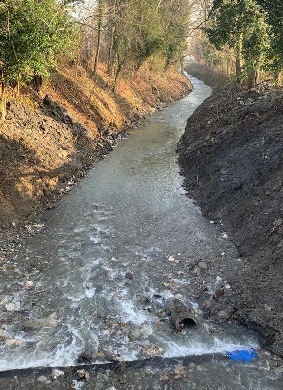 Sapanca’yı besleyen dereler temiz akıyor