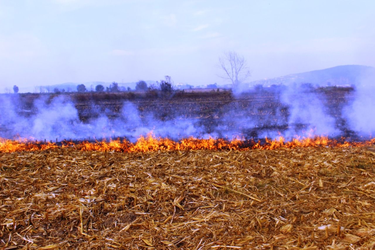 Büyükşehir uyarıyor; Tarımsal faaliyetlerde ateş yakmayın