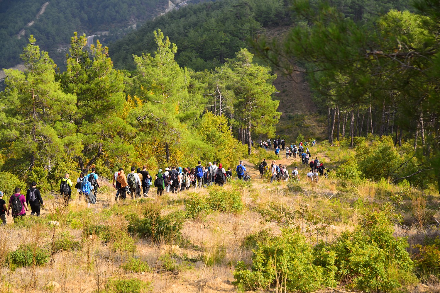 Büyükşehir doğa yürüyüşleri başlıyor