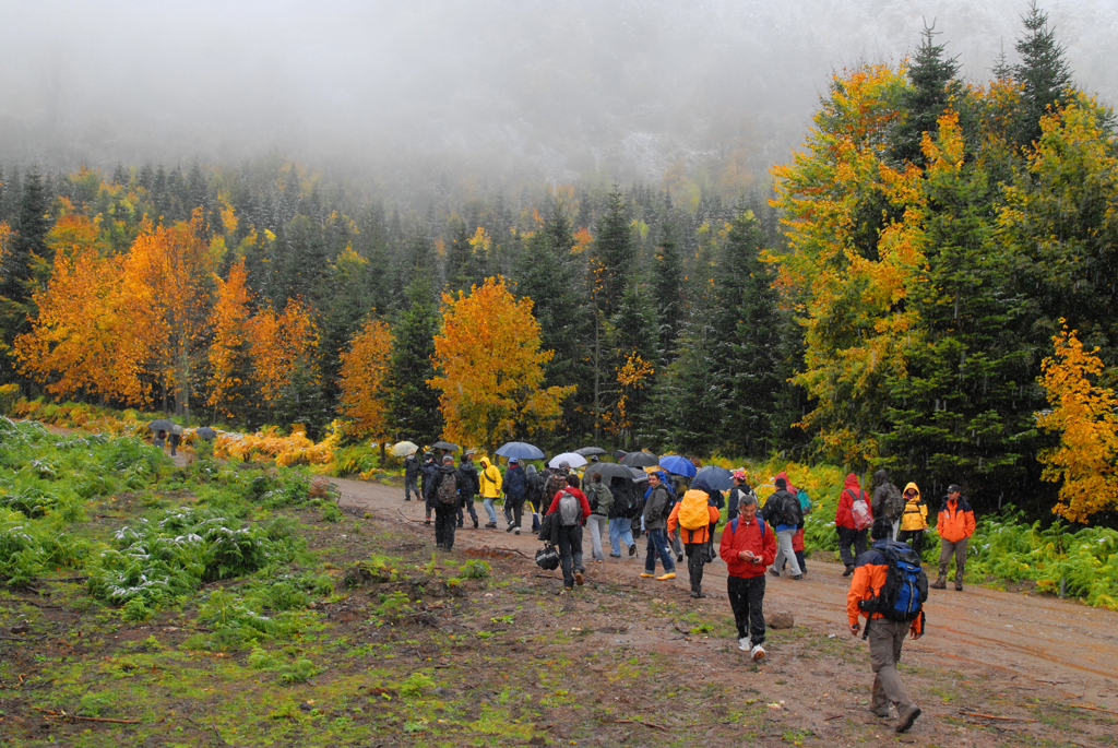 Şehrin Güzelliklerini Birlikte Keşfettik