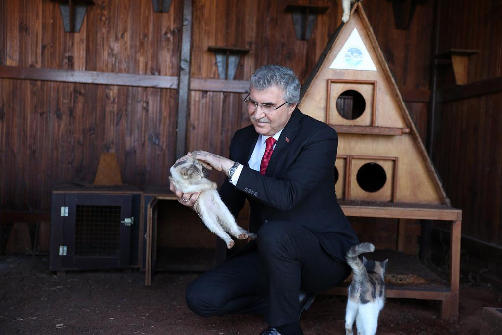 Sokak Hayvanları Rehabilitasyon Merkezi ihaleye çıkıyor