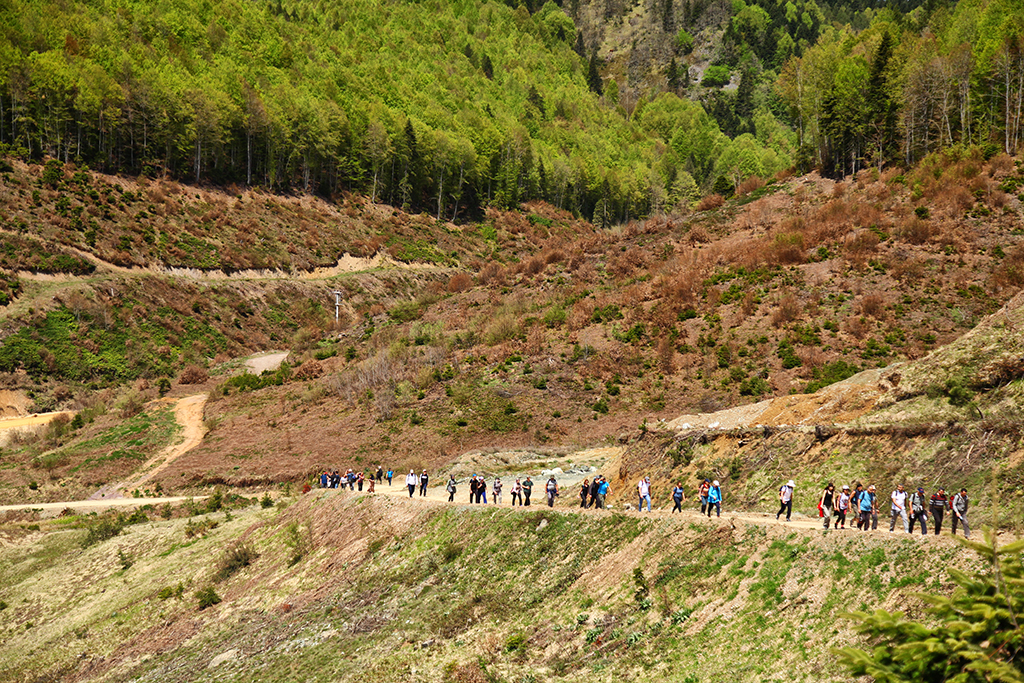 Pamukova ve Sapanca’da doğa ile iç içe yürüyüş