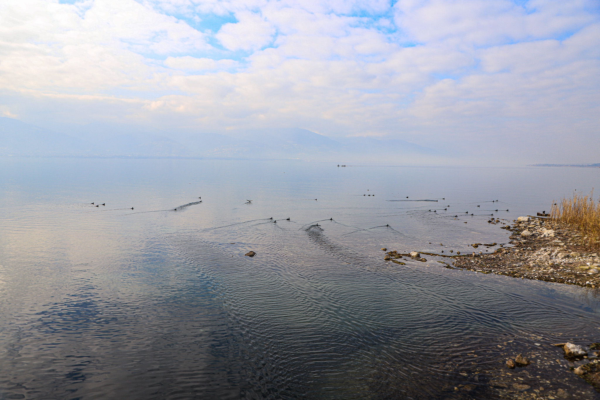 Şubat yağmurları Sapanca Gölü’ne 14 milyon metreküp su kazandırdı