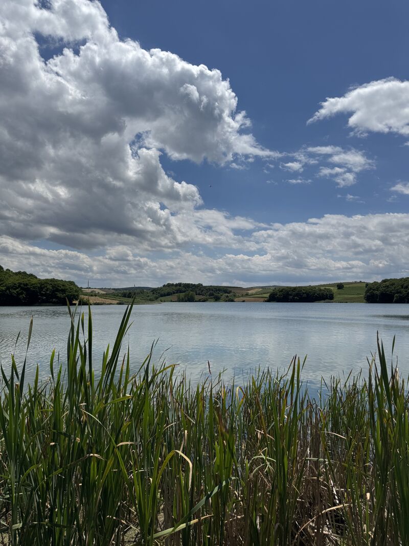 Sakarya’da su kaynaklarının geleceği için önemli adım: Göl üzerinde ‘yapay güneş’ yüzecek…