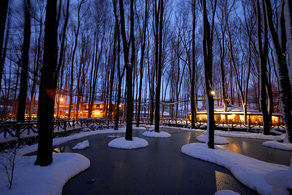 4 mevsim orman keyfi burada