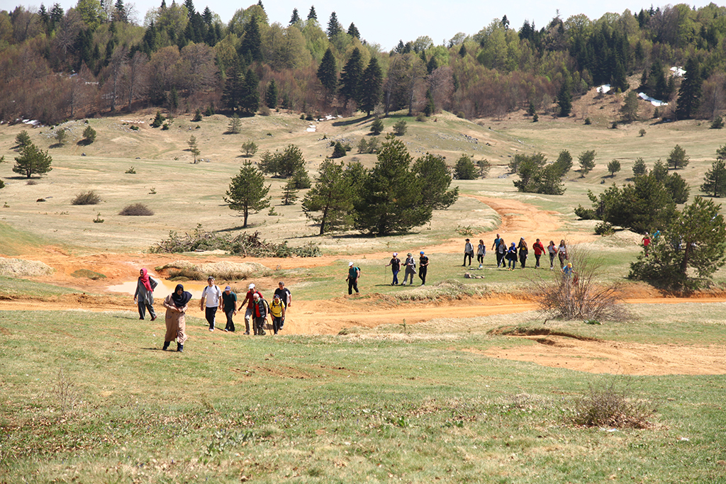 Pamukova ve Sapanca’da doğa ile iç içe yürüyüş