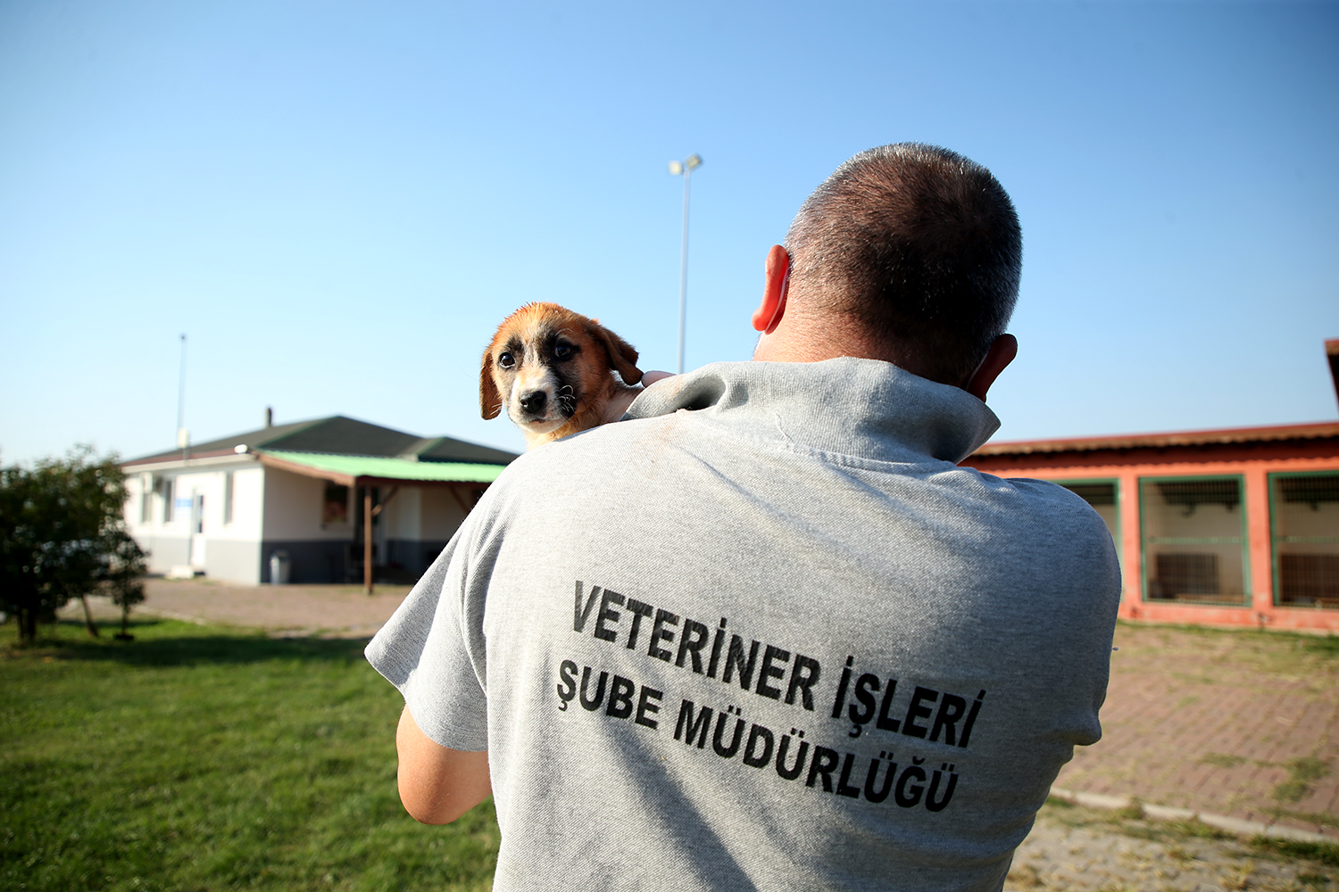 Sokak hayvanlarının ihtiyaçlarına ortak olun