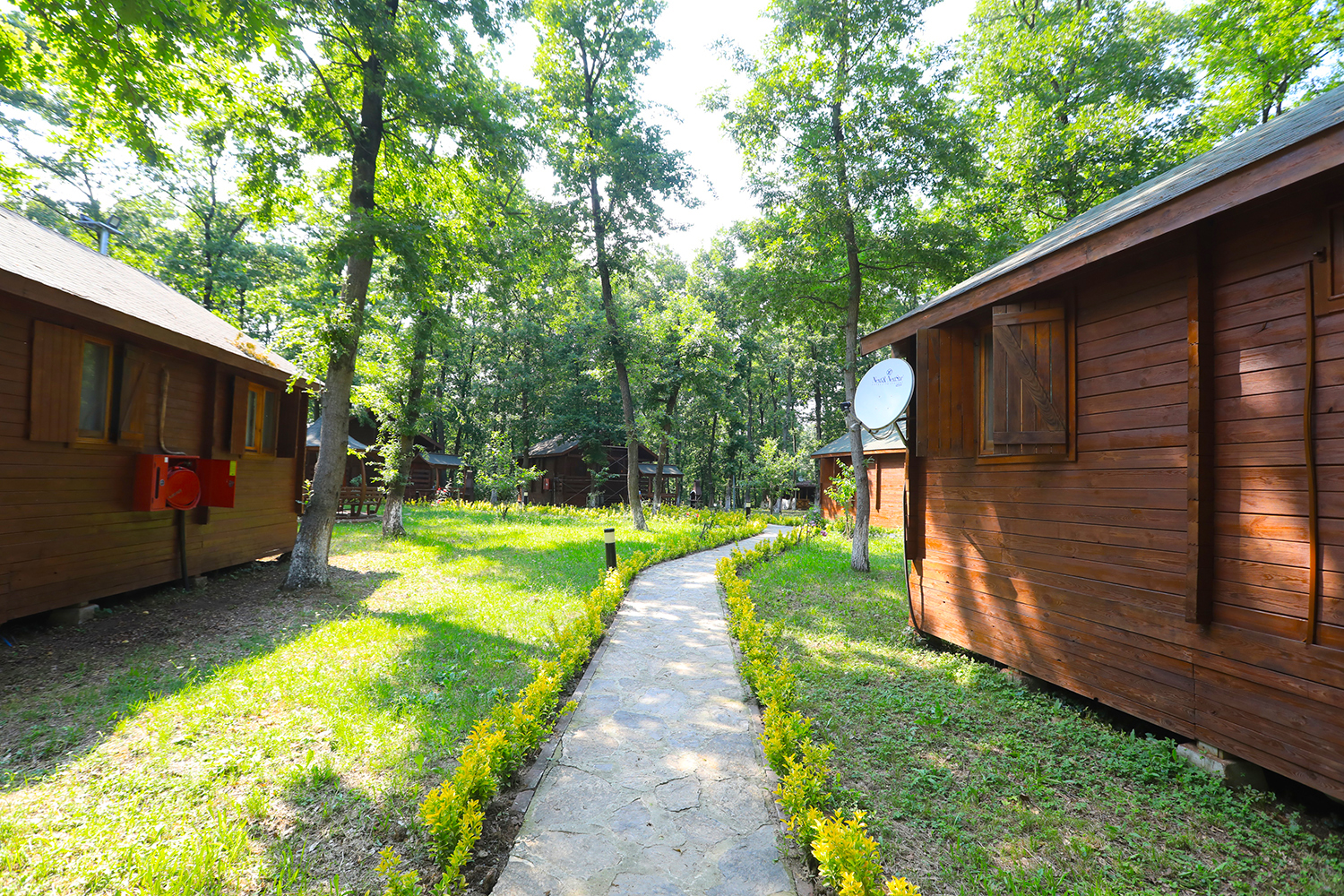 “İl Ormanı Tabiat Parkı ile vatandaşlar doğanın en güzel haliyle buluşacak”