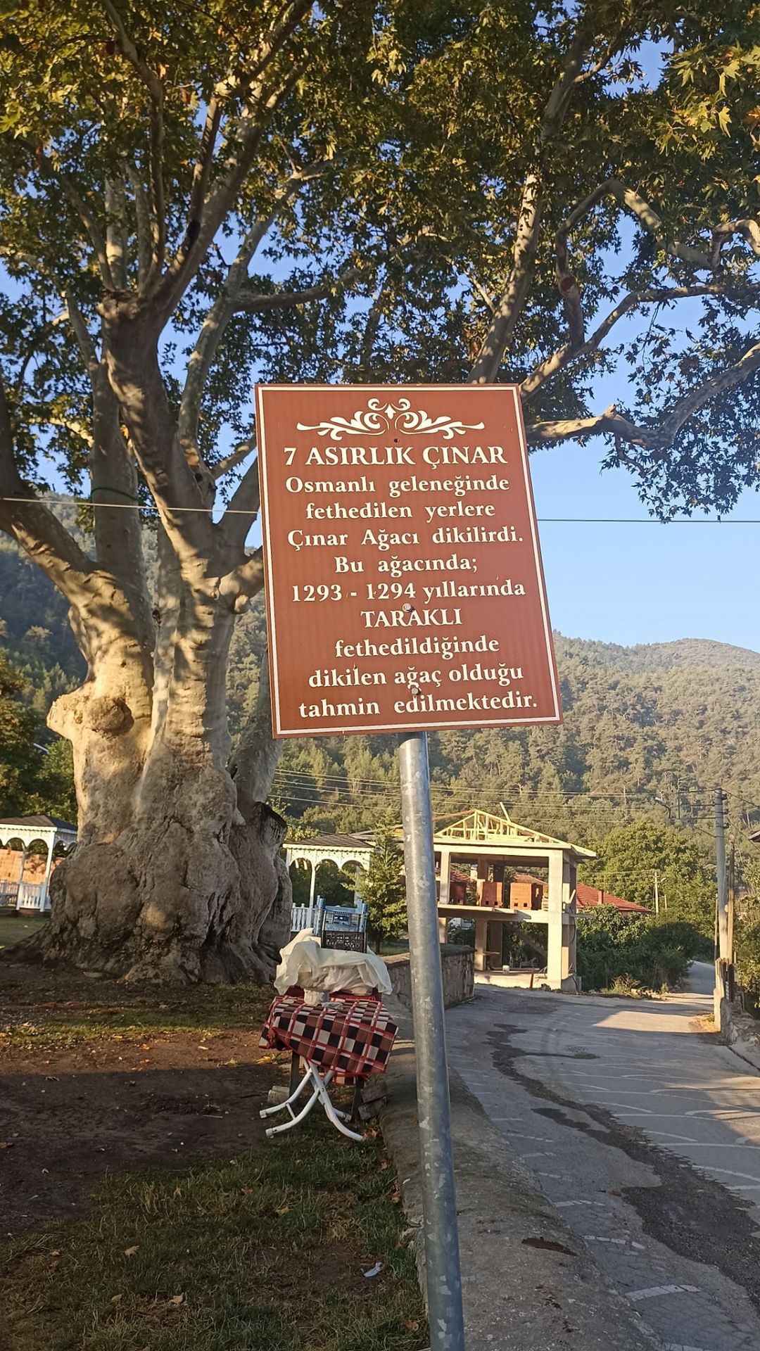 Taraklı’da 7 asırlık yaşayan mirasın çevresi sosyal bir alana dönüşecek