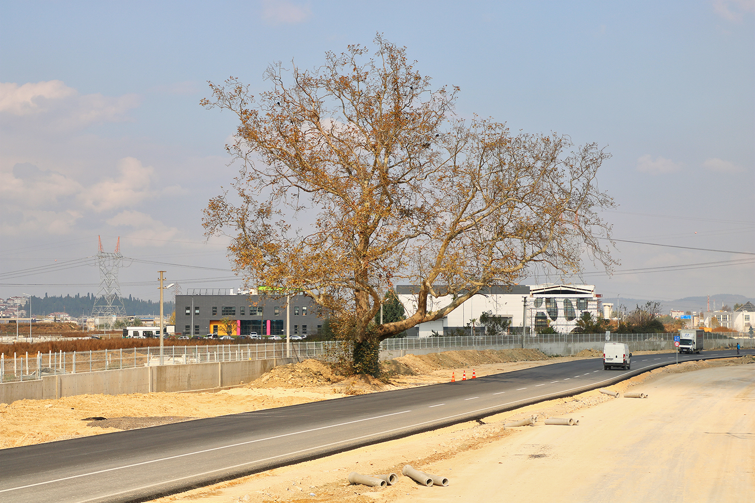 Duble yol güzergahı Çınar Ağacı için değişti