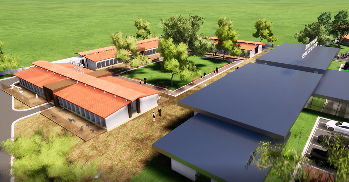 Sokak Hayvanları Rehabilitasyon Merkezi ihaleye çıkıyor