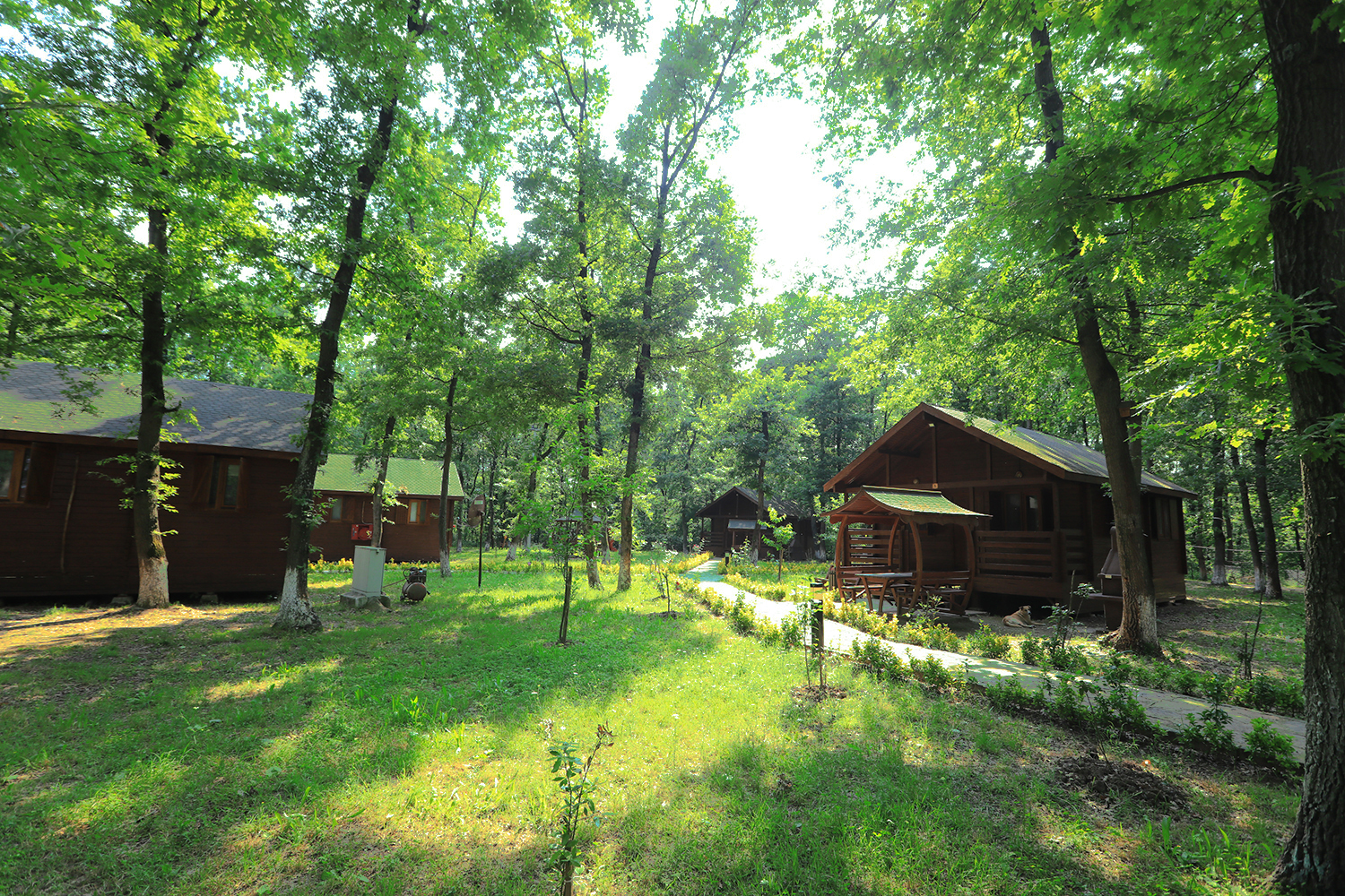 “İl Ormanı Tabiat Parkı ile vatandaşlar doğanın en güzel haliyle buluşacak”