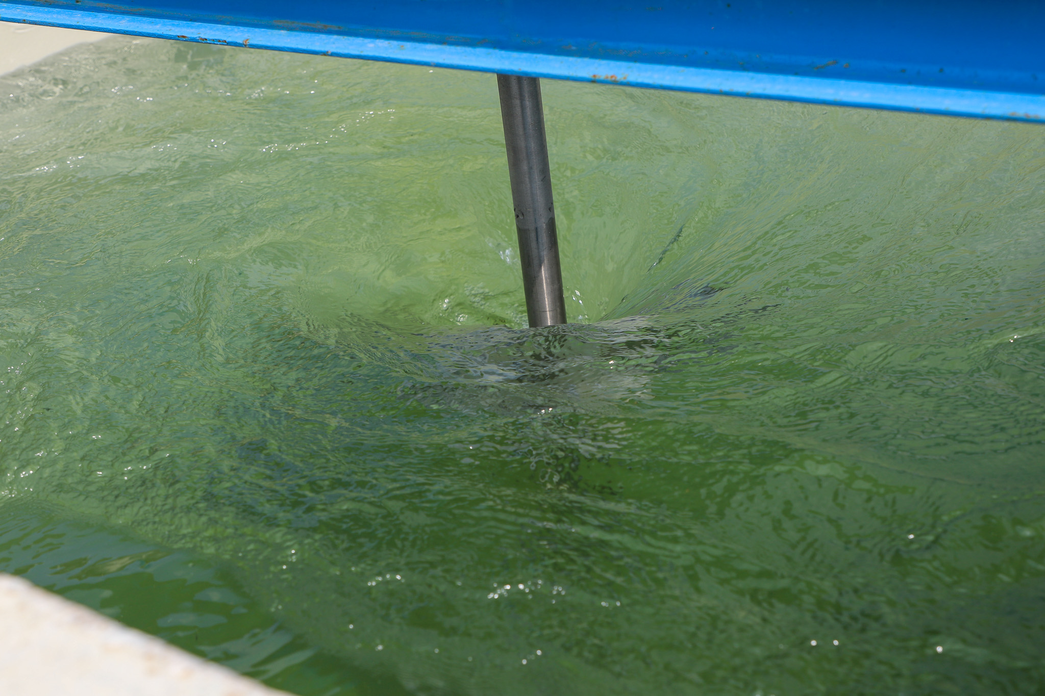 Karapürçek’te ön çökeltim sistemiyle arıtılan sular altyapı hatlarına ulaştı