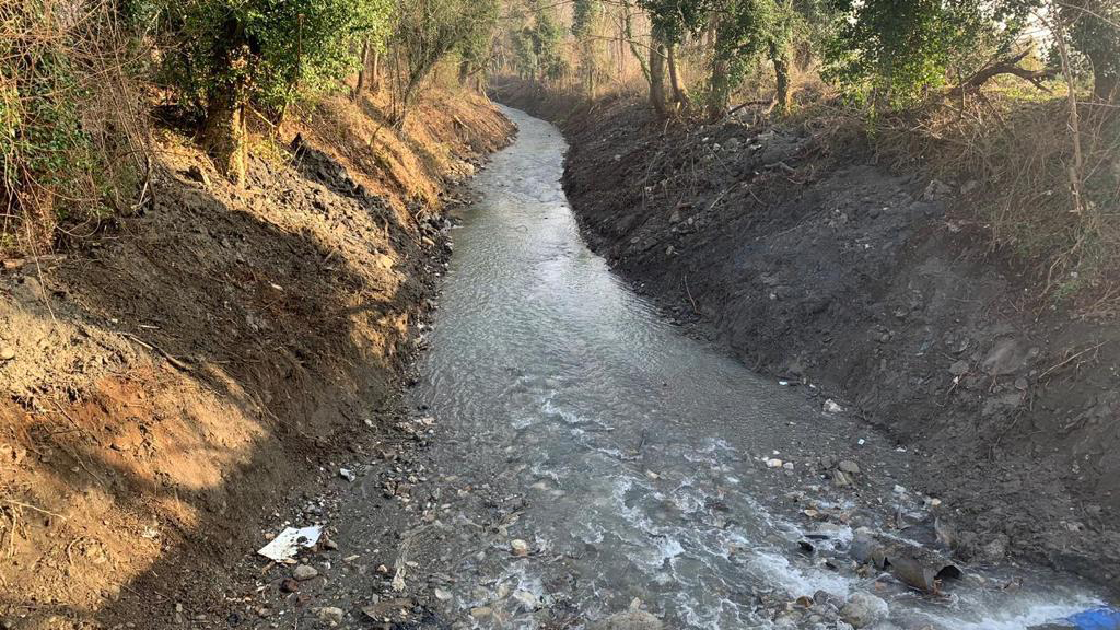 Sapanca’yı besleyen dereler temiz akıyor