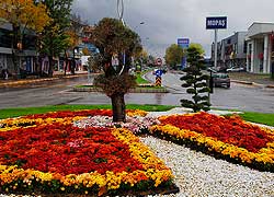 Yeşile Değer Veren Şehir, Sakarya