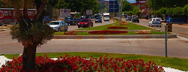 Yeşile Değer Veren Şehir, Sakarya