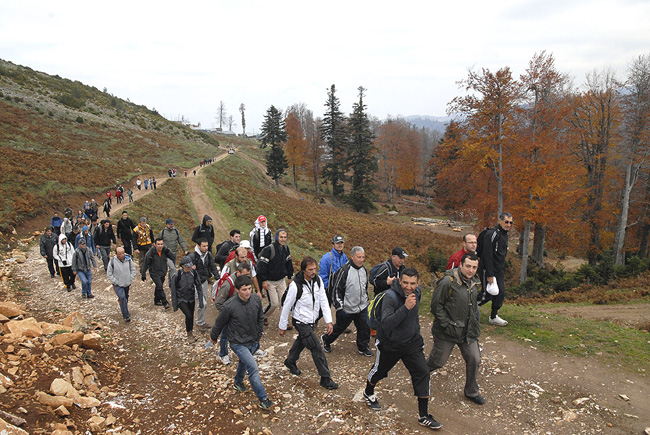 Dikmen Yaylasının Tadını Çıkardılar