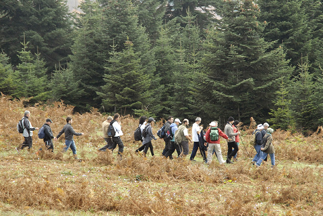 Dikmen Yaylasının Tadını Çıkardılar
