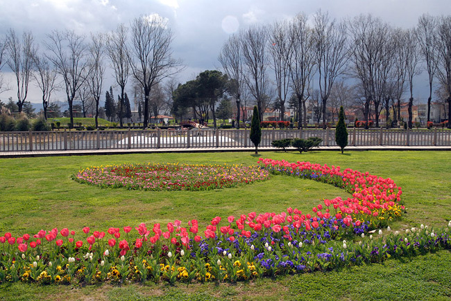 Büyükşehir'in Laleleri Çiçek Açtı
