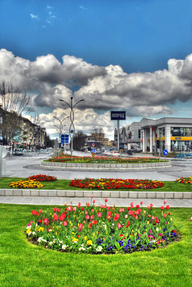 Büyükşehir'in Laleleri Çiçek Açtı