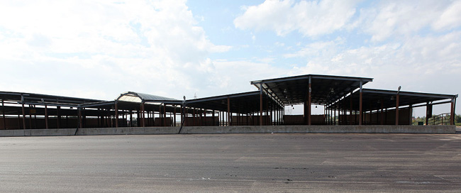 Hayvan Pazarı Çağdaş Standartlarda Yapıldı