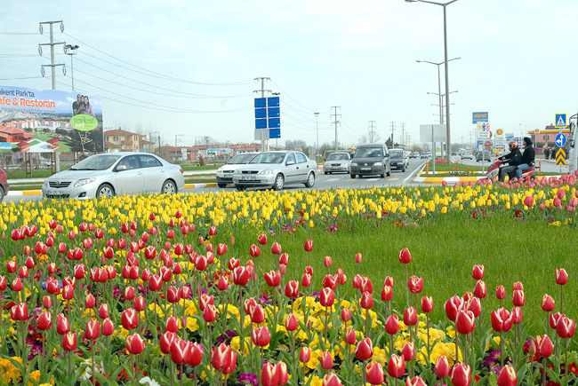 Şehir Çiçek Açıyor