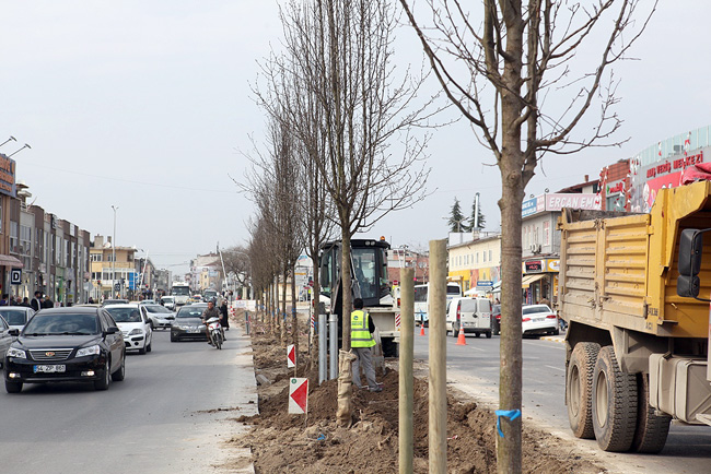 Bosna Caddesinde Çalışmalar Başladı