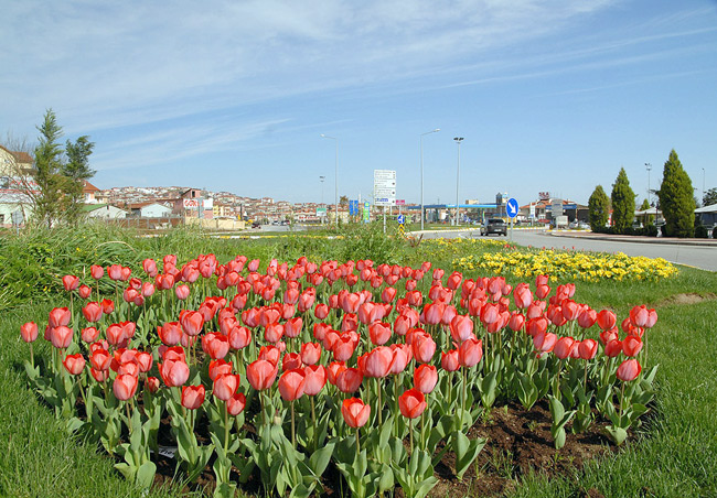 Sakarya'da Lale Devri